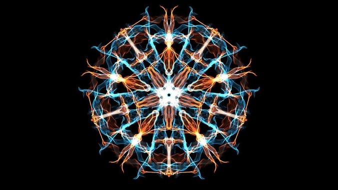 中国特有的狸花猫有多强大？